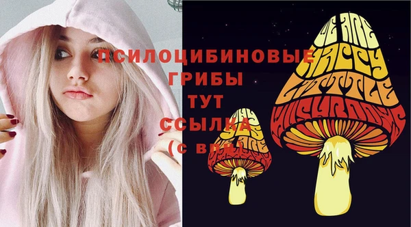 винт Алексин