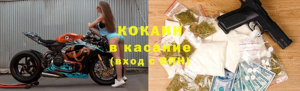 apvp Алзамай