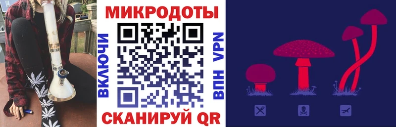 Псилоцибиновые грибы мицелий  Апатиты 
